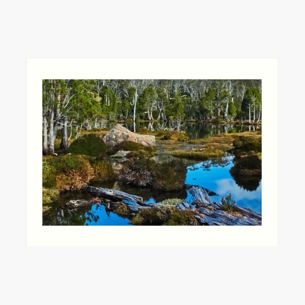 The Pool of Bethesda, Tasmania Art Print