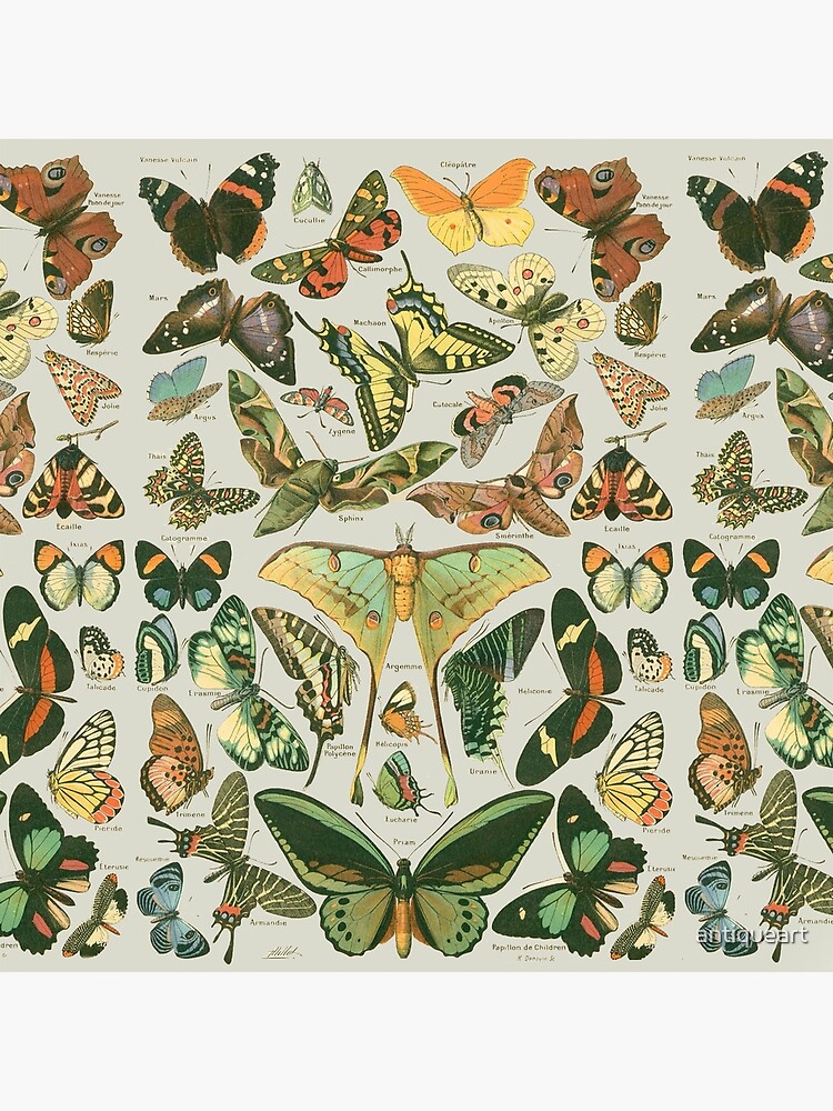 Póster for Sale con la obra «Patrón antiguo de mariposas