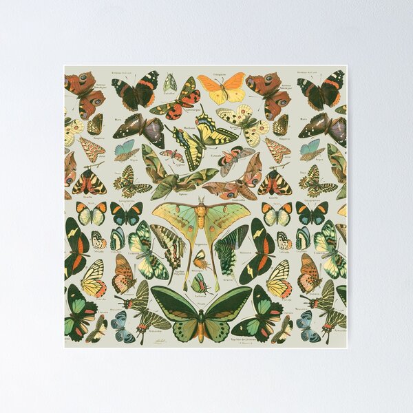 Item preview, Butterfly Pattern designed and sold by antiqueart.