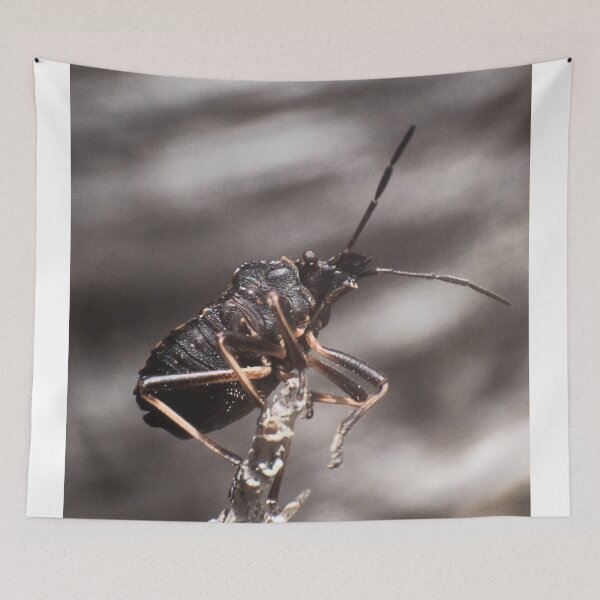 Item preview, Bug ready for takeoff designed and sold by PeteMellows.