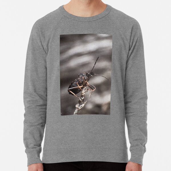 Bug ready for takeoff Lightweight Sweatshirt