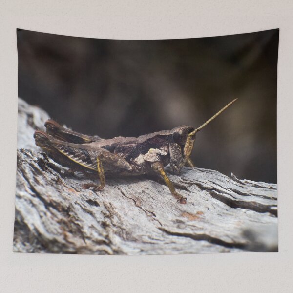 Item preview, Giant grasshopper chilling out designed and sold by PeteMellows.