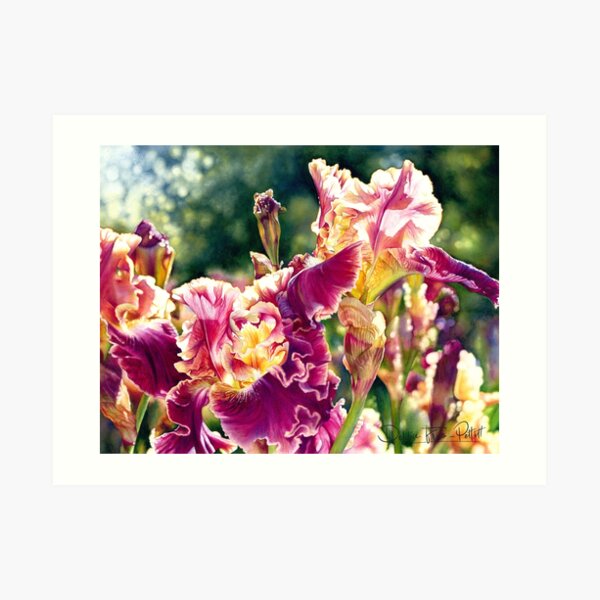 Springtime Awakening Watercolor Painting 24x18 Art Print