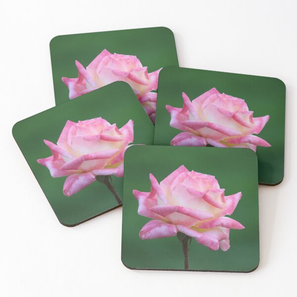 Item preview, Single Pink Rose designed and sold by BarbaraWilliams.