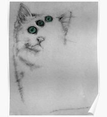 Drei Augen Katze Poster