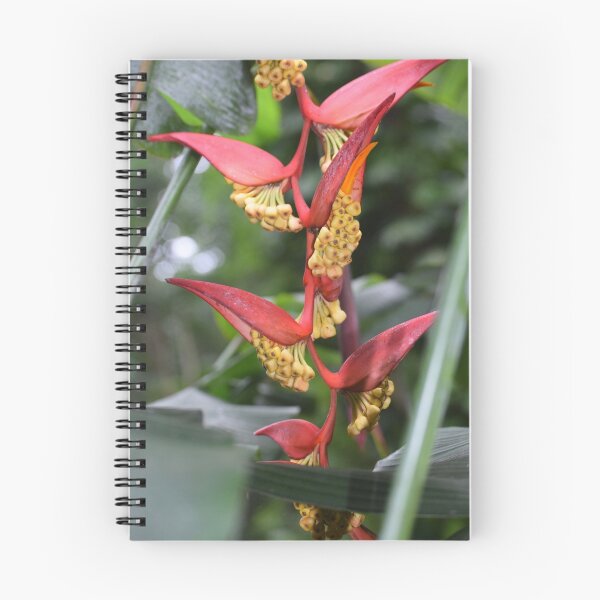 Item preview, Heliconia  designed and sold by Angel35.