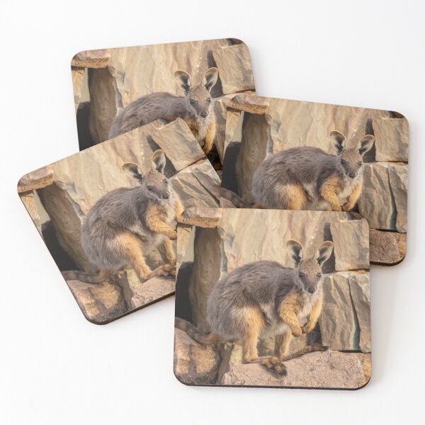 Item preview, Yellow Footed Rock Wallaby, Arkaroola, South Australia. Endangered designed and sold by Andrew Goodall.