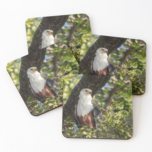 Item preview, African Fish Eagle, Chobe River, Botswana designed and sold by Andrew Goodall.