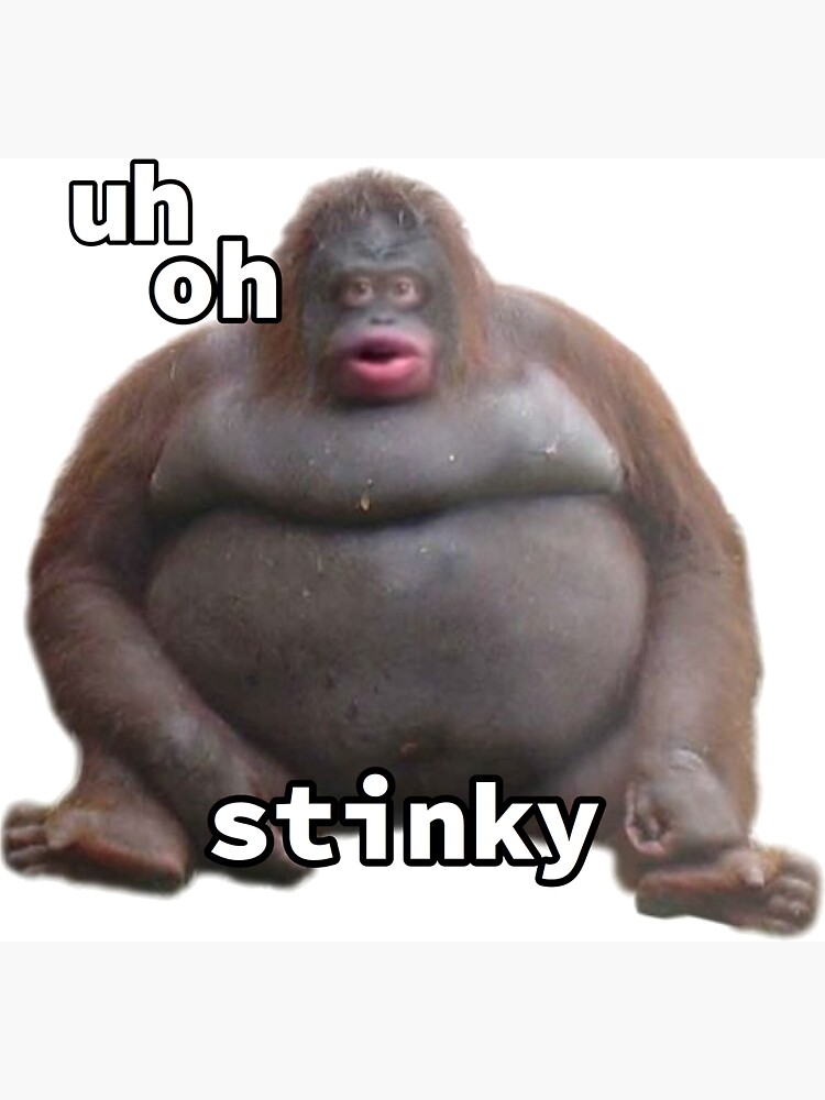 uh oh stinky poopy monkey meme | Magnet