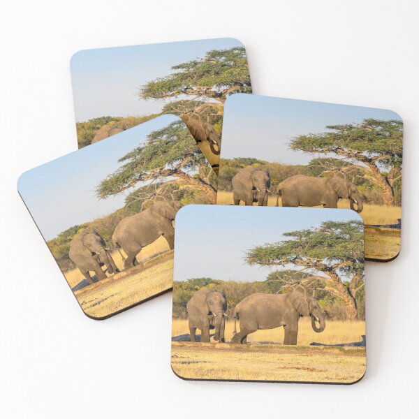 Item preview, African Elephants, Hwange National Park, Zimabwe designed and sold by Andrew Goodall.