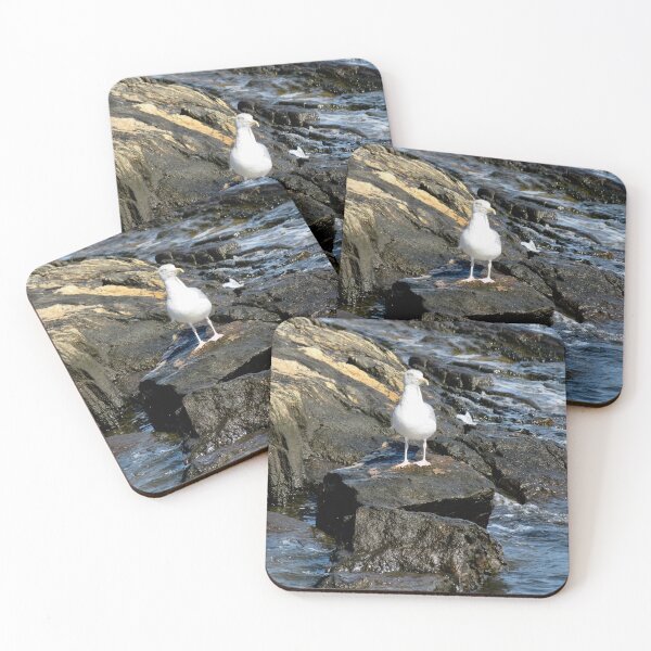 Item preview, Seagull On A Rock designed and sold by GDGCreations.