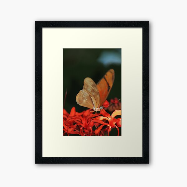 Item preview, Sunshine and Butterflies by Liane Pinel designed and sold by TheSpiritWithin.