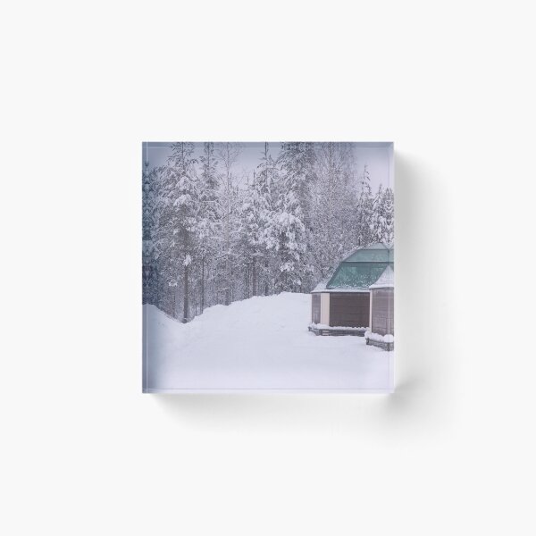 Item preview, Glass Igloos in the Wilderness designed and sold by Marylou Badeaux.