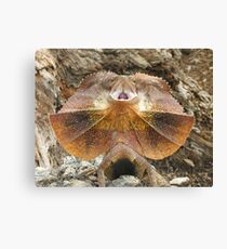 Frilled not to be Grilled Lizard Canvas Print