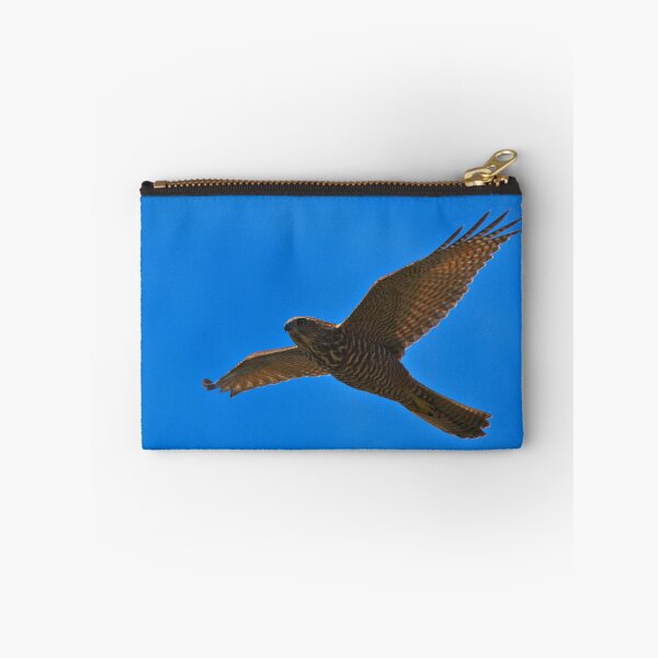 Item preview, A Brown Goshawk Against Blue Skies designed and sold by Jason Gilbert.