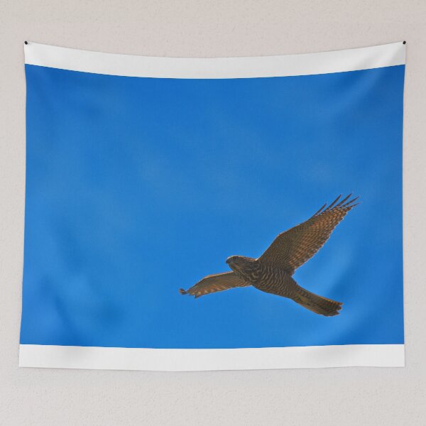 Item preview, A Brown Goshawk Against Blue Skies designed and sold by Jason Gilbert.