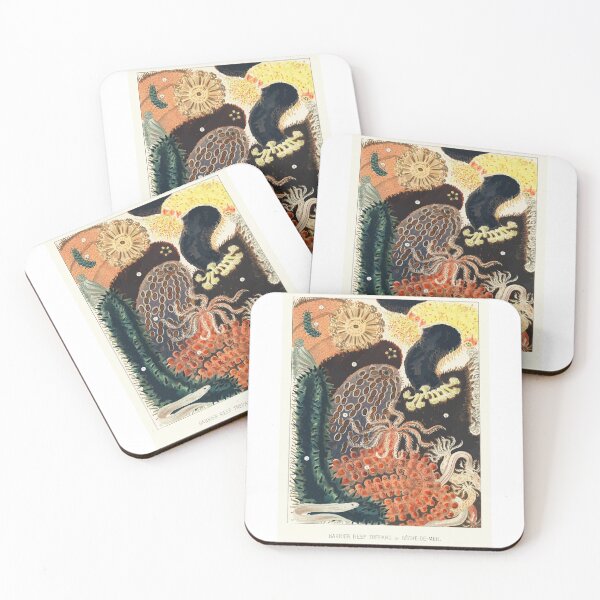 Item preview, 1893 Barrier Reef Trepang or Bêche-de-Mer from The Great Barrier Reef of Australia William Saville-Kent designed and sold by digitalvintage.