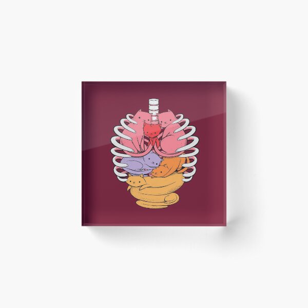 Anatomicat Acrylic Block
