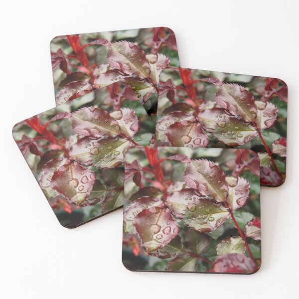 Item preview, Raindrops on Roses designed and sold by Douglas E. Welch Design and Photography.