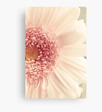 Pink Canvas Print