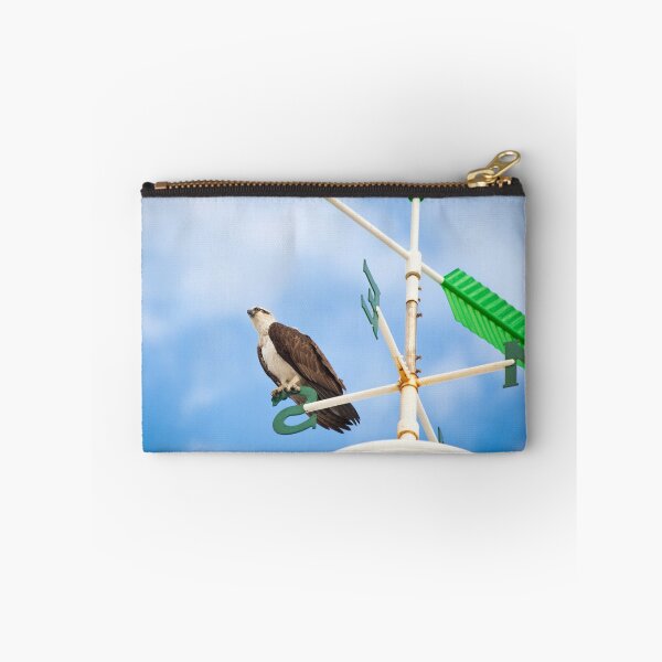Item preview, Osprey on a compass designed and sold by Marc Russo.