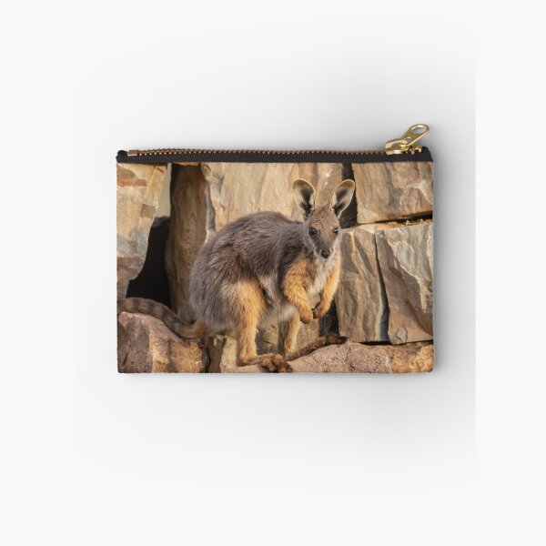 Item preview, Yellow Footed Rock Wallaby, Arkaroola, South Australia. Endangered designed and sold by Andrew Goodall.