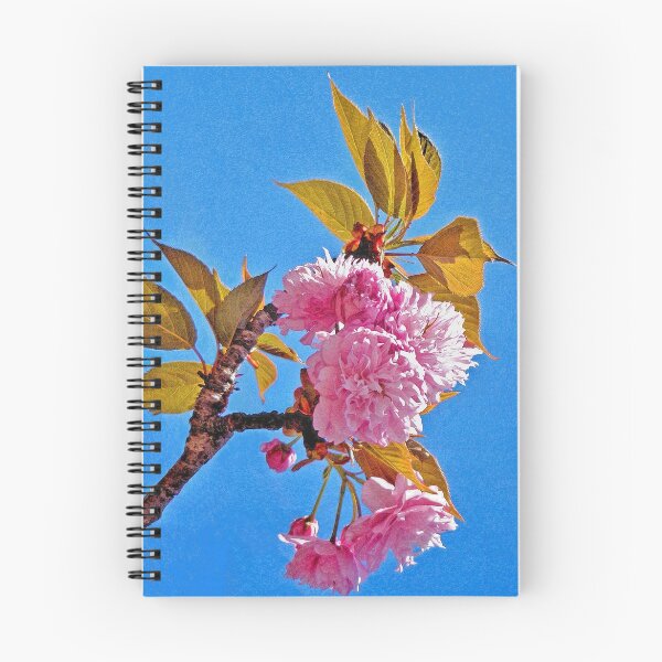 Aperçu de l'œuvre Spring is Pink: BECHA créée et vendue par George Petrovsky.