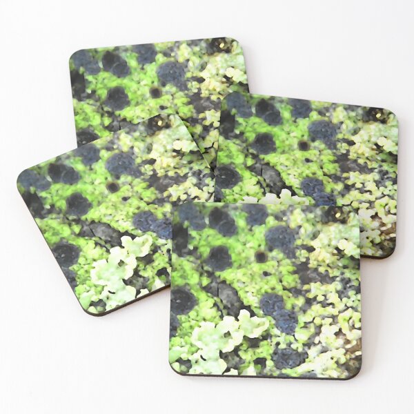Item preview, Abstract Lichen #3 designed and sold by WanderingMogwai.