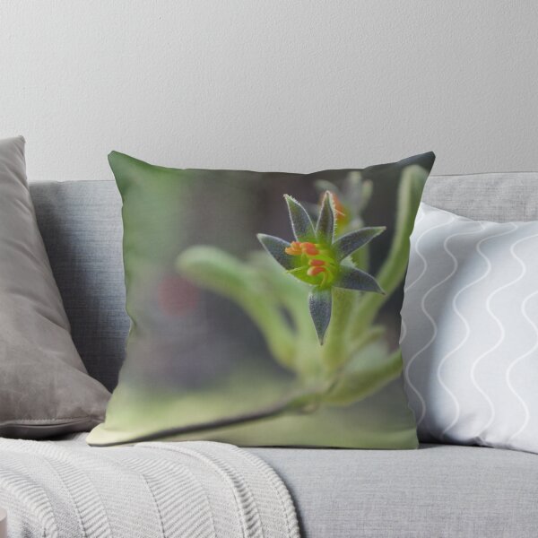 Item preview, Kangaroo Paw Flower designed and sold by Carolyn May.