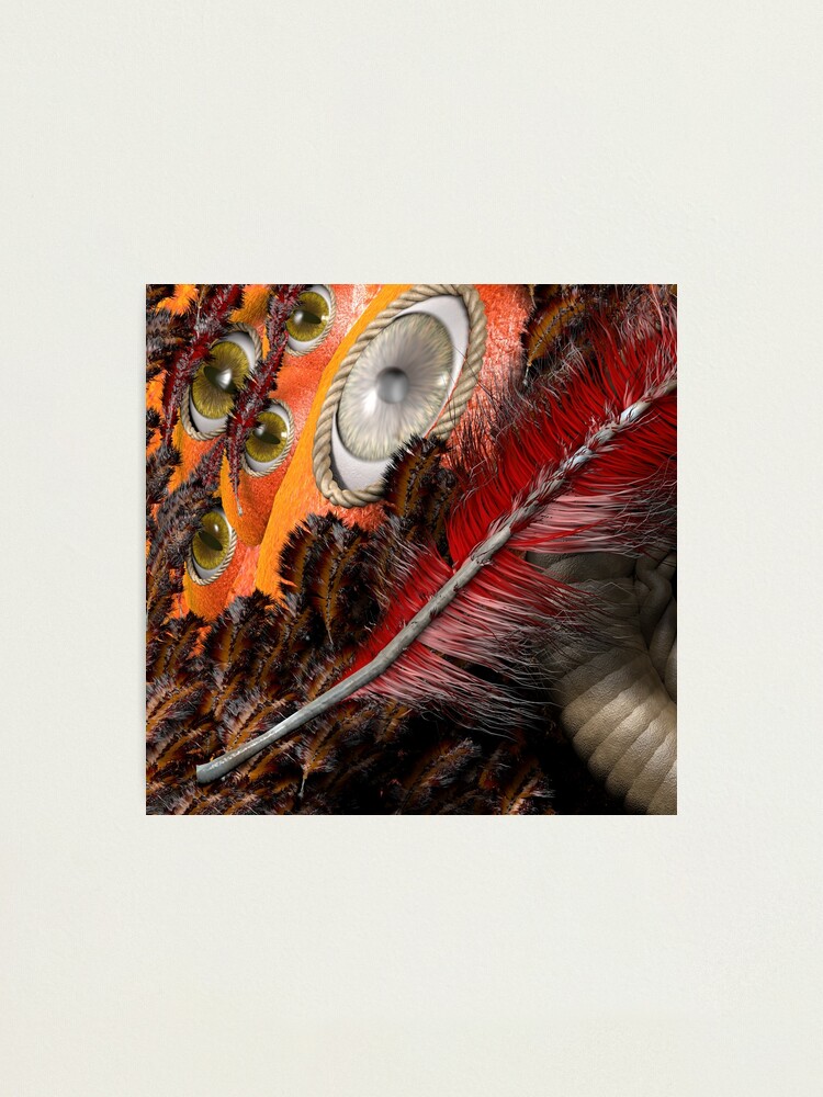 Alternate view of all eyes on you Photographic Print