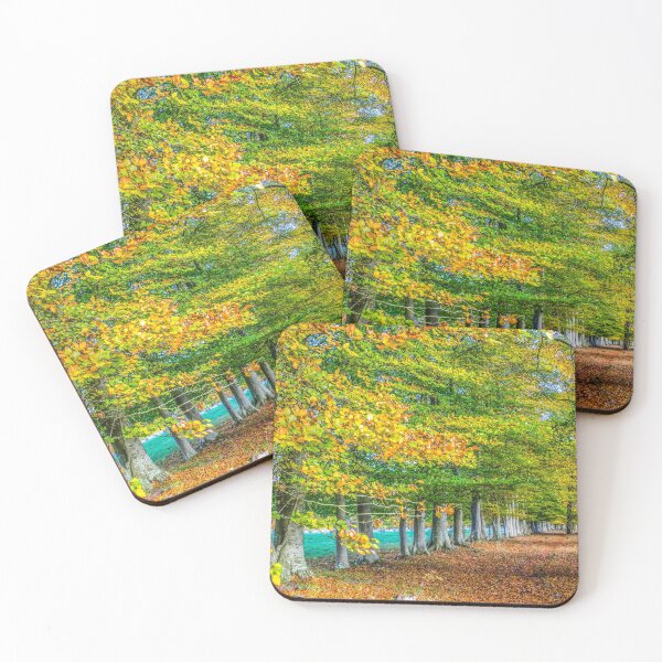 Item preview, Row of English beech trees in autumn  designed and sold by RW Jemmett.
