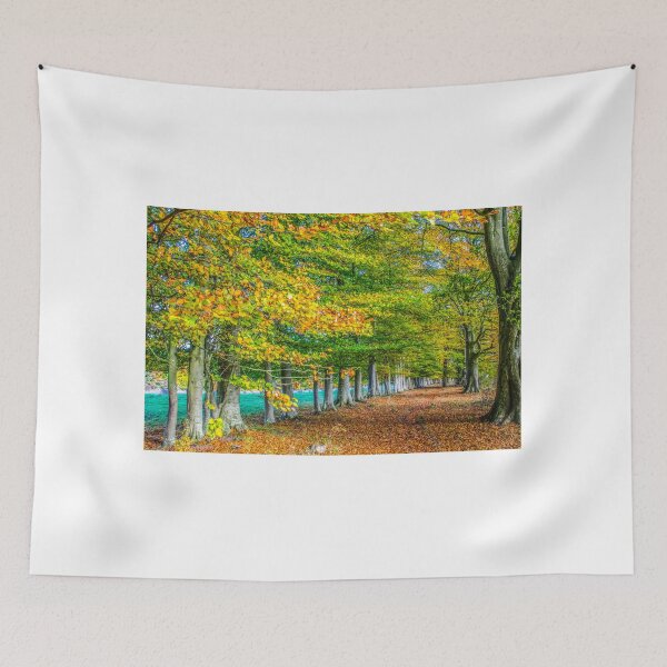 Item preview, Row of English beech trees in autumn  designed and sold by RW Jemmett.