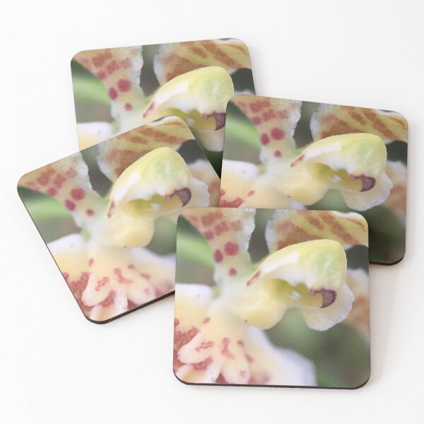 Item preview, Miniature white Orchid designed and sold by Carolyn May.