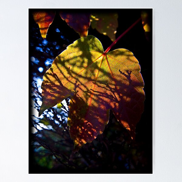 Item preview, Light My Fire designed and sold by Denise Abé.