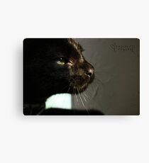 No Stopping Curiosity. Canvas Print