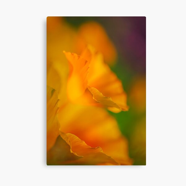 Item preview, Summer Garden 2 designed and sold by Veikko  Suikkanen.