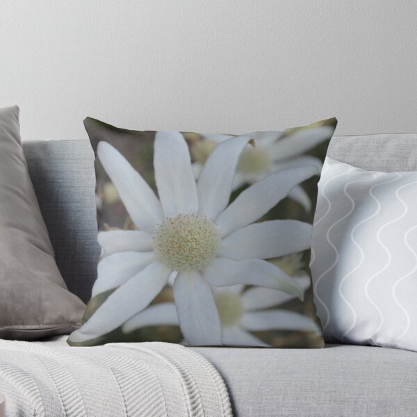 Item preview, Australian Native Flannel Flower 1 designed and sold by Carolyn May.
