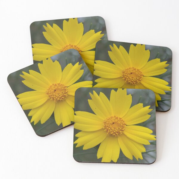 Item preview, Photograph Australian Hakea Flower designed and sold by Carolyn May.