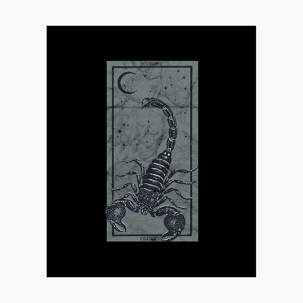 Astrological tarot card depicting Scorpio (colour litho) #22665606