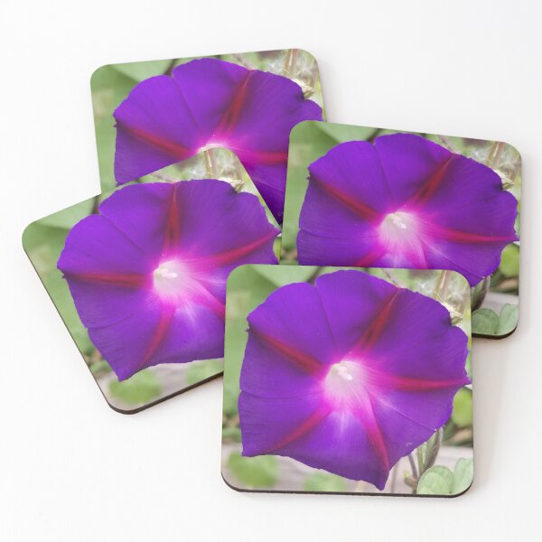 Item preview, Purple Petunia Passion designed and sold by 21feathers.