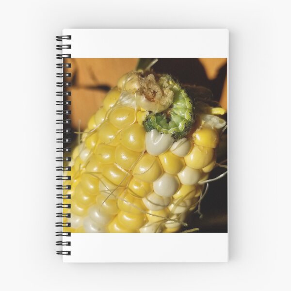 Item preview, Jimmy Snacked Corn and I Don't Care designed and sold by 21feathers.