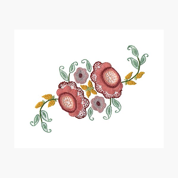 'Irish Rose' embroidery Photographic Print