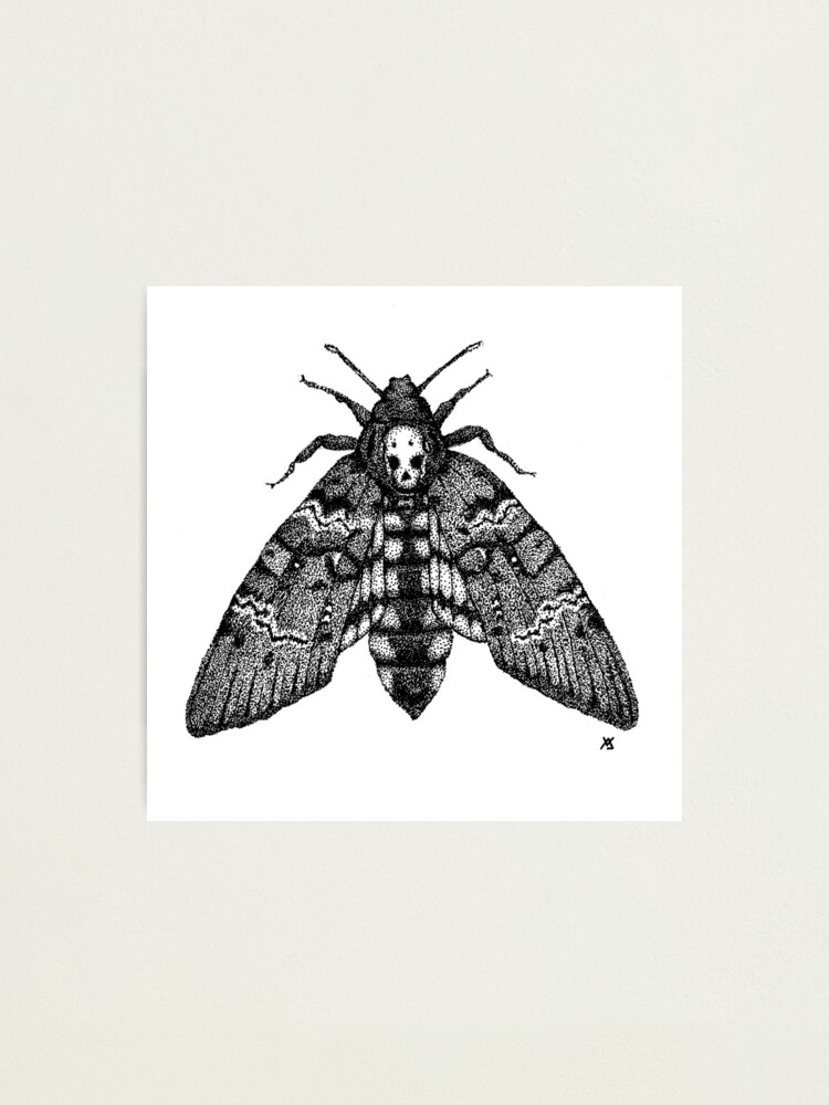 Death's-head hawk moth print by Velozee