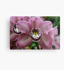 J Prosser 1st prize Kirby Lesh 20110806 1442 Metal Print