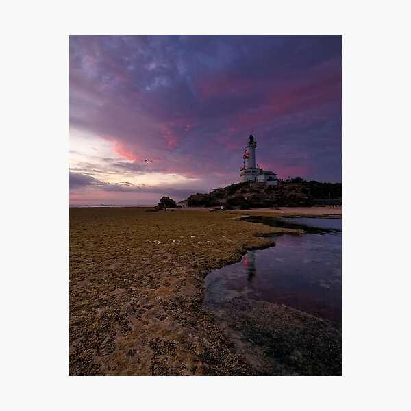 Item preview, Crimson Light at Point Lonsdale designed and sold by David  Hibberd.
