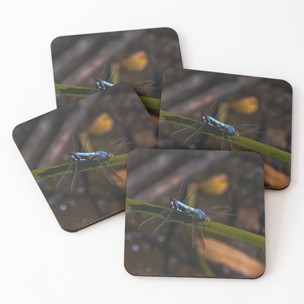 Item preview, A Pair Of Entangled Dragonflies designed and sold by Jason Gilbert.