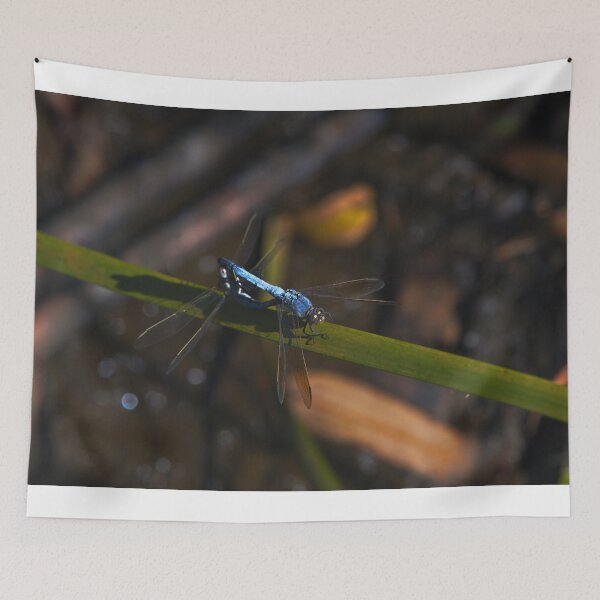 Item preview, A Pair Of Entangled Dragonflies designed and sold by Jason Gilbert.