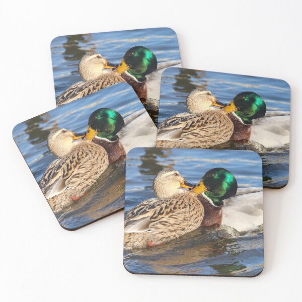 Item preview, Clashing mallards designed and sold by GreyFeatherPhot.