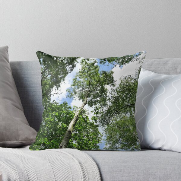 Item preview, Looking upwards at Newmillerdam Arboretum, near Wakefield, West yorkshire designed and sold by Anna Myerscough.
