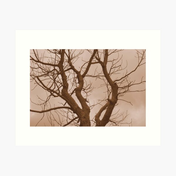 Item preview, Lone Tree designed and sold by Carolyn Ricks.